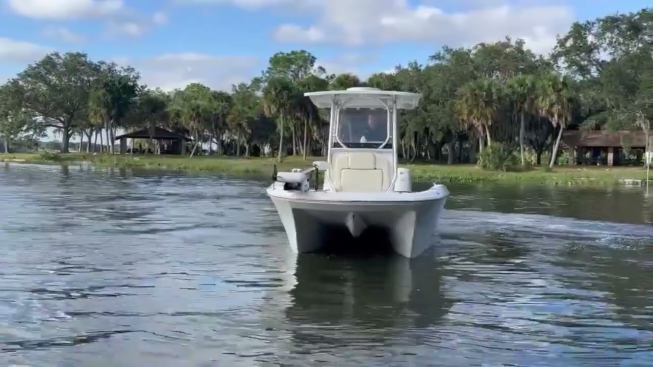 2020 SeaCat 260 Hybrid