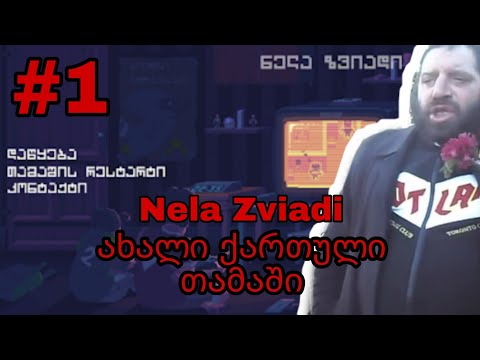 Nela Zviadi ქართულად #1 პირველი ქართული თამაში 1 ლეველი