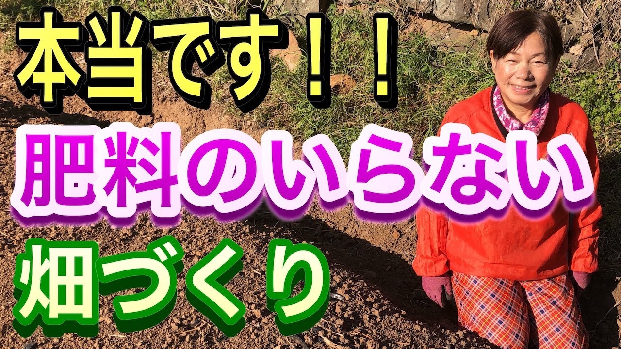肥料のいらない畑づくり