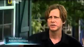 Страшные морские монстры! На ночь не смотреть Страшные морские монстры! На ночь не смотреть