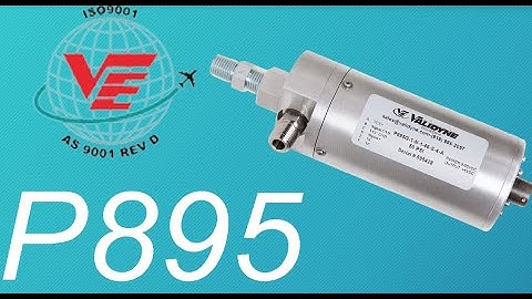 Introducing the P895