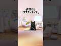 ワイが音楽はじめた経緯 #猫マニ #猫ミーム