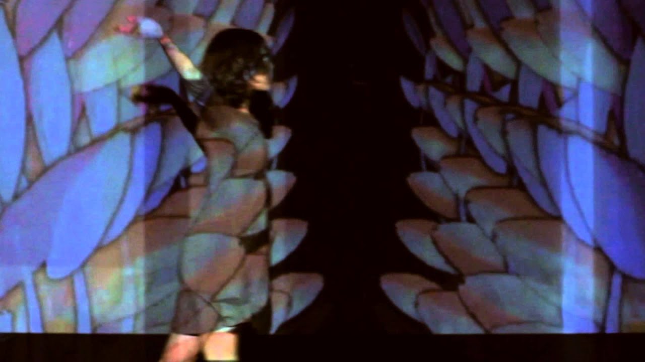 Holy Nothing - Zebra