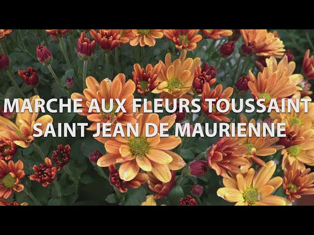 Marché aux fleurs de la Toussaint - Saint Jean de Maurienne