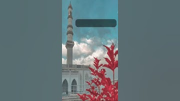 يابني أذهبو فتحسسو من يوسف و أخيه - تلاوة جميلة وهادئه - حالات واتساب قران