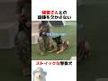 鍛錬を欠かさない警察犬