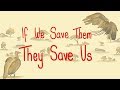 Why we should save the vultures