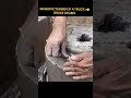 #ManufacturingProcess#BrakeDrum#TruckComponents#AutomotiveEngineering#CastingProcess#MetalCasting