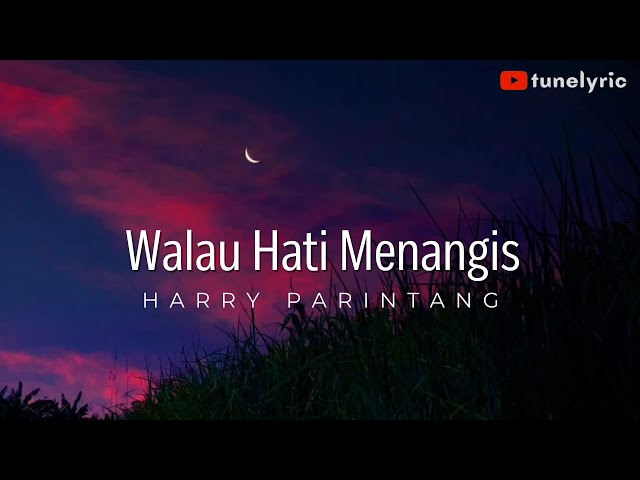 WALAU HATI MENANGIS 🎶🎵 PANCE F PONDAAG (LYRIC) | COVER - HARRY PARINTANG class=