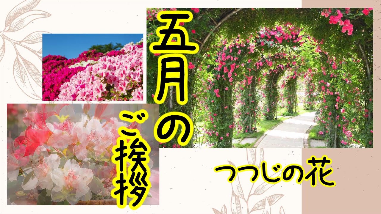 【５月の挨拶動画】ラインで送るつつじのカード 初夏の挨拶