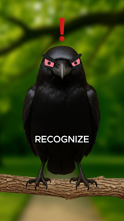 Why Crows are Evil… #shorts #facts