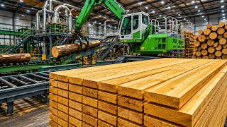 Amazing Logging Machines Turning Giant Trees Into Valuable Timber