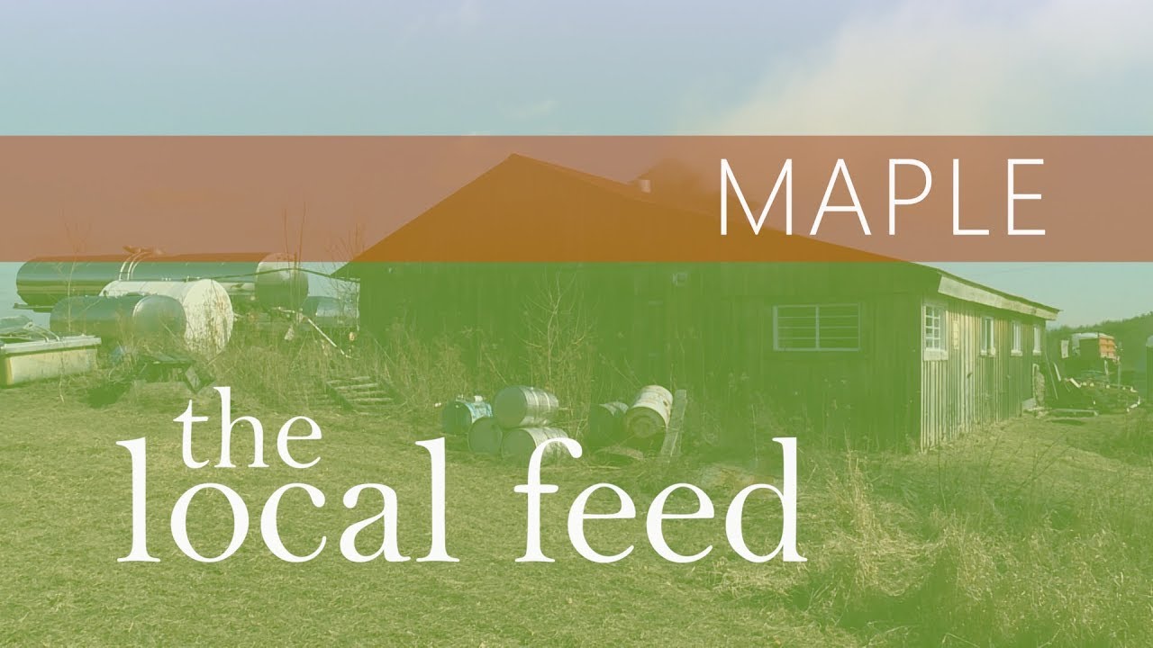 Maple: Mapleland Farms | The Local Feed