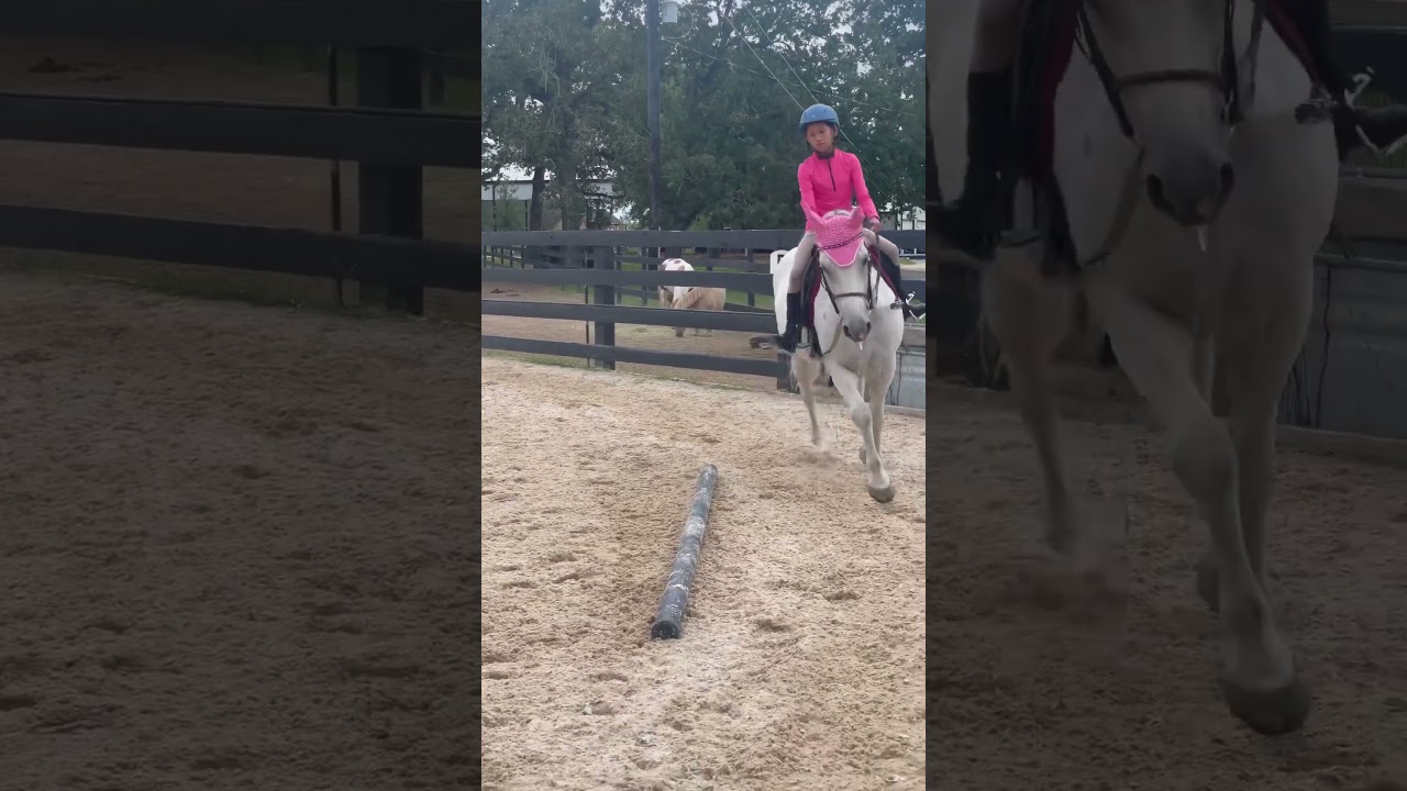 Loosing  stirrup be like…… 