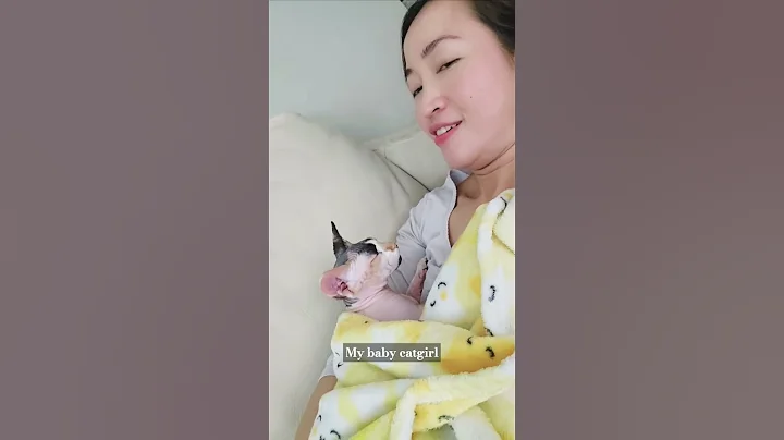 Watch the video about Cuddly hairless beauty #canadiansphynx #catlover #sphynx #catgirl