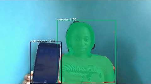 A demo showing the output of pixelLib