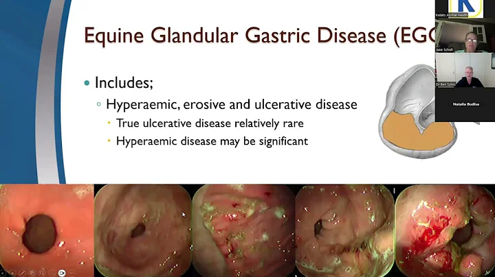 Targeted Prevention Strategies for Equine Gastric Ulcer Syndrome (EGUS) Webinar 2025