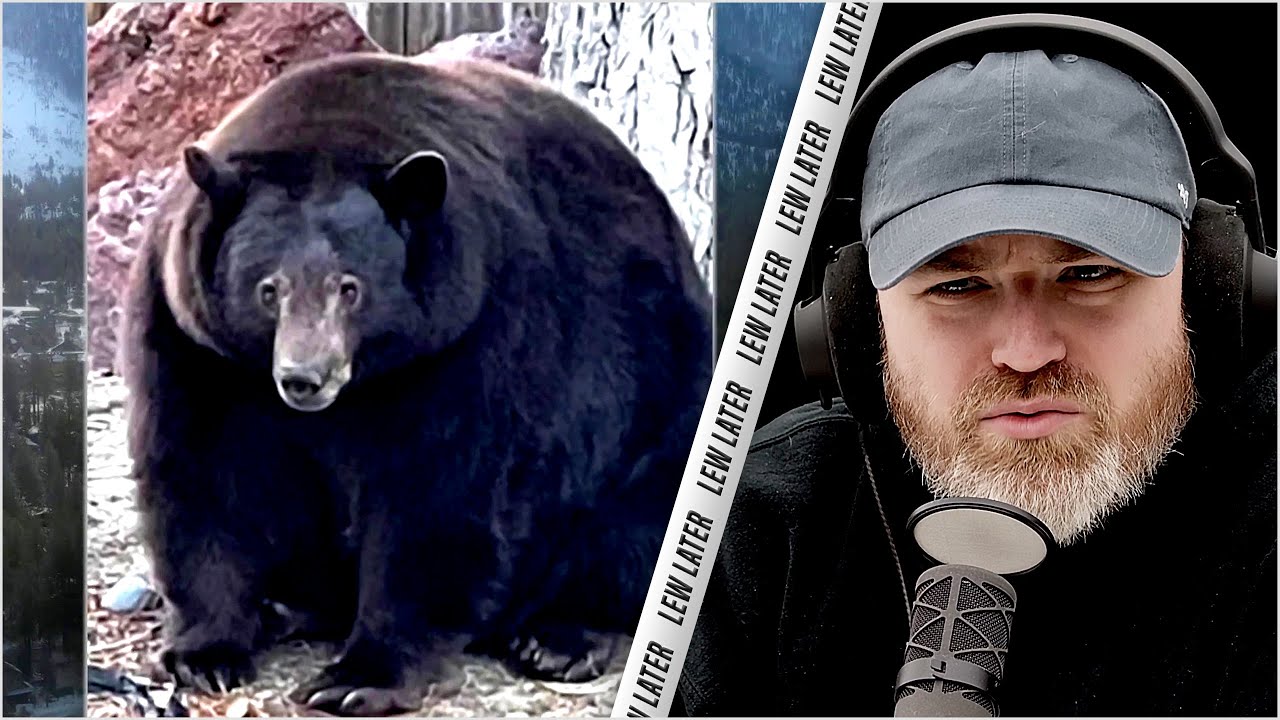 "Hank The Tank" is Breaking Into Homes (VIDEO) YouTube