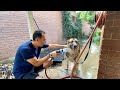 Dog Shower | Daily Life | This Indian