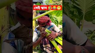 আমার কাছে কোন ব্যাপারই না সেই স্বাদ ??#inshot #viral #viralshorts#viralvideo #fannyvideo #tanding