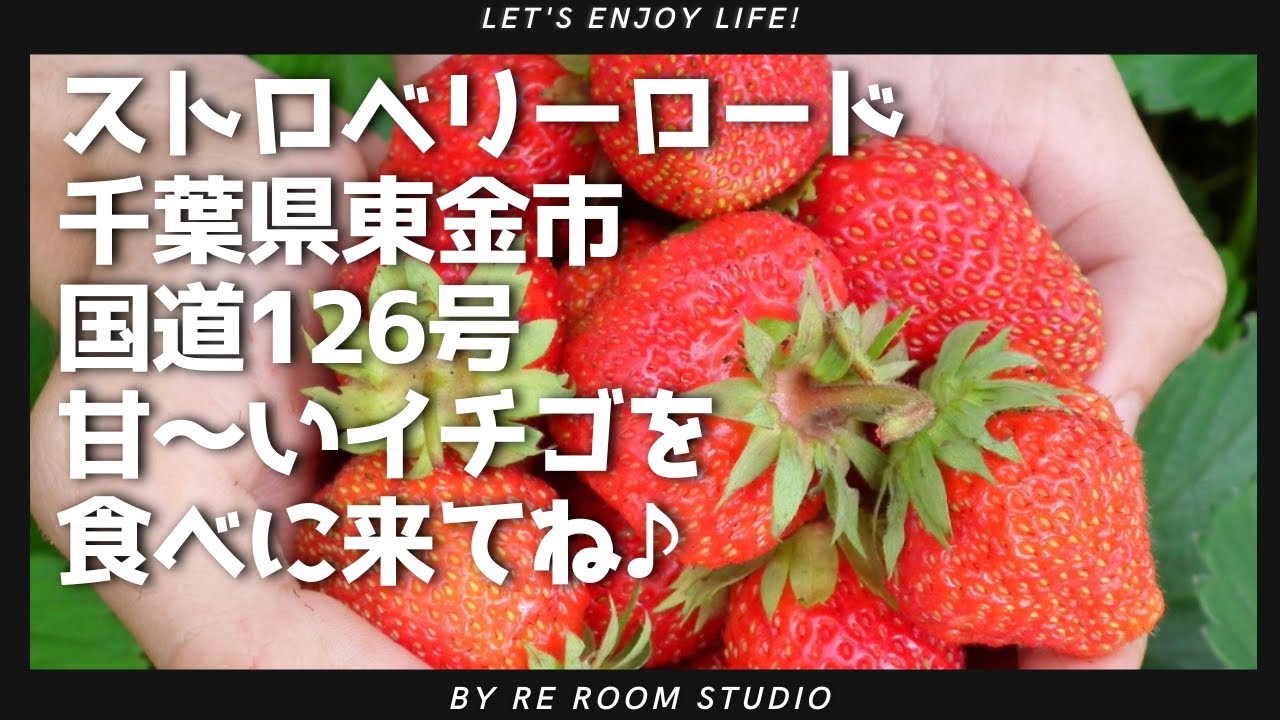 【お店紹介】川嶋苺園/いちご直売所/甘い苺がお安い♪ストロベリーロード/千葉県東金市/地元ファンに人気のお店