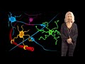 Beth Stevens (Boston Children’s) 1: Microglia States in Health and Disease