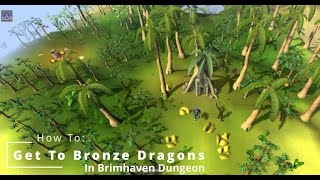How To Get To Bronze Dragons Osrs