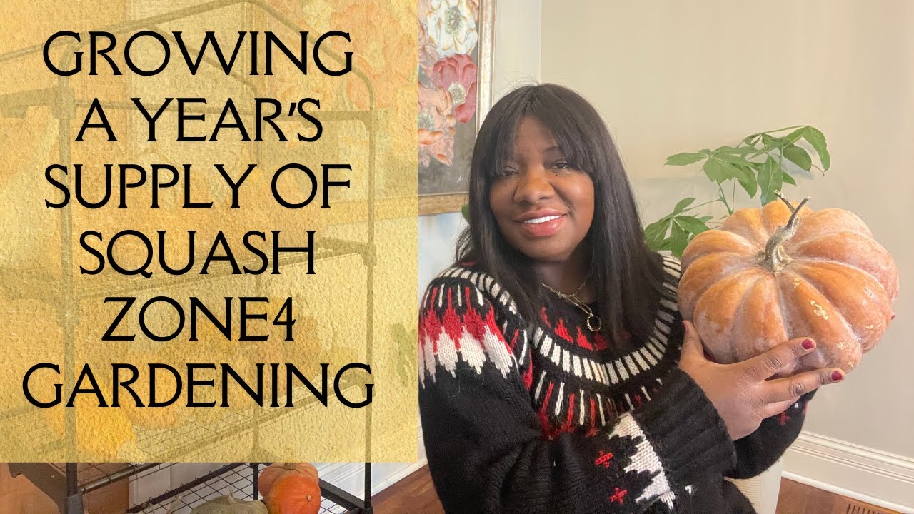 Squash Vine Borer Didn't Stop Me! - Winter Squash & Pumpkin - Growing a Year's Supply in MN Zone 4