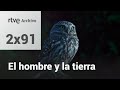 El hombre y la tierra: Capítulo 108 - Rapaces nocturnas II | RTVE Archivo