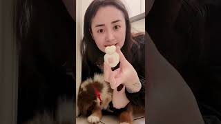 PERRITO ESCOGE MI MAQUILLAJE 💄 🐶