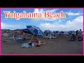 ４K【Kamakura💗Yuigahama Beach】 Beach Walk #beach #湘南