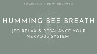 Humming Bee Breath to Relax & Rebalance Your Nervous System (Simple Bhramari Pranayama Practice)