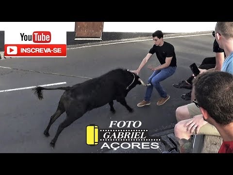 Tourada à corda, ilha Terceira, 2018