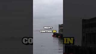 5 Psychological Patterns That Explain Human Behavior