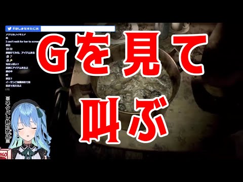【ホロライブ / 星街すいせい】Gを見て叫ぶ
