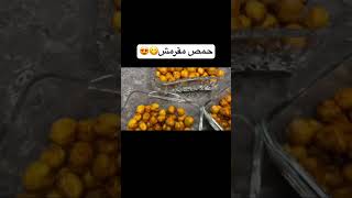 حمص مقرمش كيجي رااائع??✅? cooking بصحة