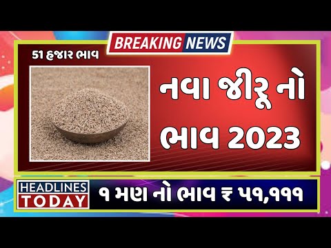 જીરૂ નો ભાવ 1 મણ ₹ 51,111 ઊંઝા યાર્ડ નો ભાવ આજનો || cumin-seeds-jeera- ₹ 51,111 || jiru no bhav 2023