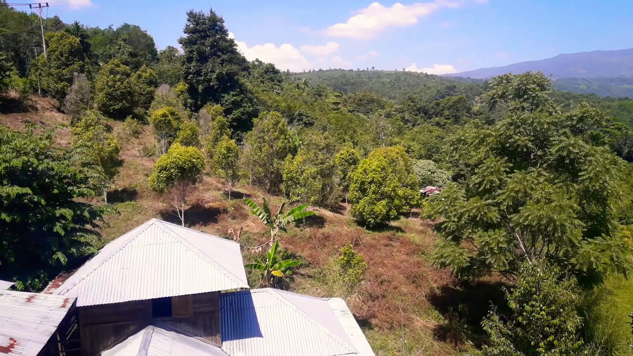 PEMANDANGAN YANG INDAH  GUNUNG  TALANG YouTube