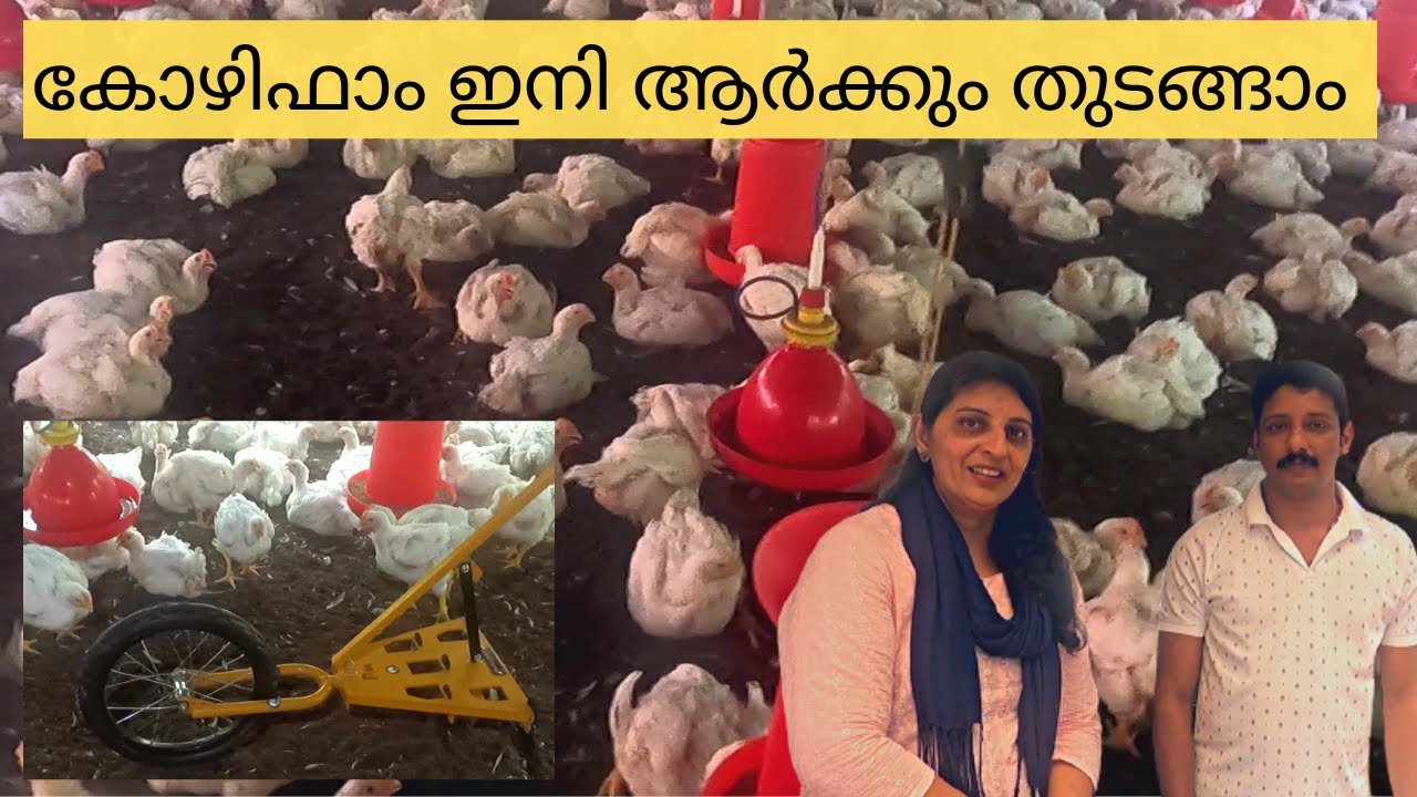 Poultry Raking Machine/കോഴിഫാംമിലെ പണി ഇനി വളരെ എളുപ്പത്തിൽ തീർക്കാം/Rincy'skitchen&vlog