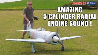 IS THIS BEST SCALE SOUND ? GIANT RUSSIAN RC LAVOCHKIN La11 with MOKI 250cc 5 cylinder RADIAL ENGINE