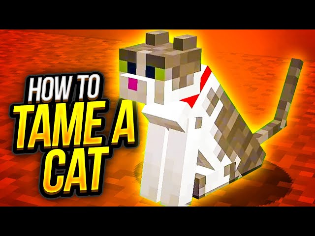 How Do You Get a Cat on Minecraft: Easy Tips to Tame One Fast