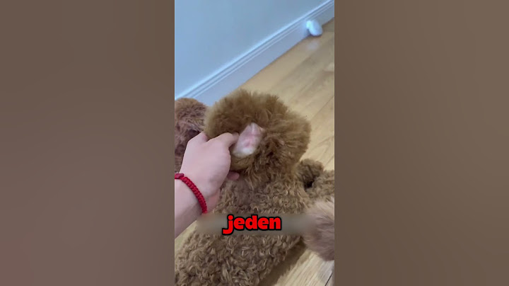 NAJBARDZIEJ REALISTYCZNY ROBO-PIES🤖🐶
