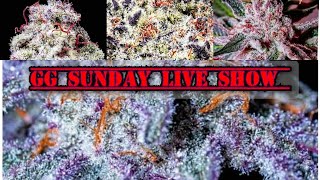 GG LIVE SHOW , Let's Talk Watering