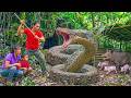 Giant Python Attacks a Herd of Pigs by Phong - We Had to Catch It, Farm Life | Alone Survival