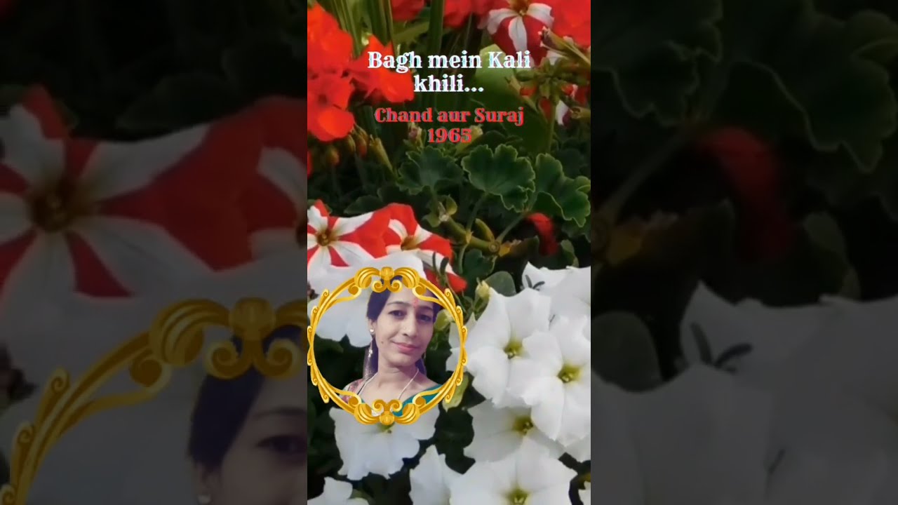 बाग में कली खिली बगिया महकी Bagh mein Kali khili bagiya mehki Dhanu