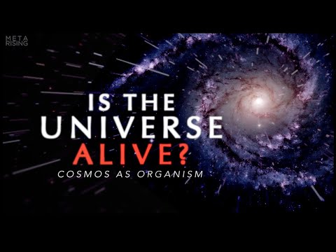 The Living Universe - Documentary about Consciousness and Reality | Waking Cosmos