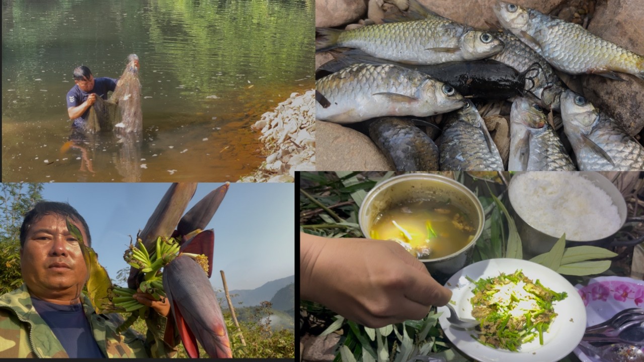 Mus cuab ntses noj pob tsawb lom zem kawg. 7/3/2026