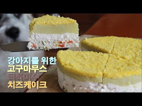 강아지 치즈케이크 만들기 /Cheese cake for dogs /서담 /SEODAM