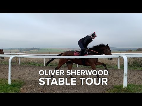 Oliver Sherwood Stable Tour