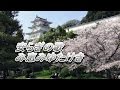 讃美歌294番「み恵みゆたけき」William Bradbury